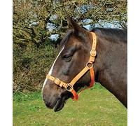 Rhinegold Nylon Headcollar - X Full - Mandarina