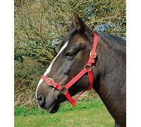 Rhinegold Nylon Headcollar-X Full-Red Cabezada de Nailon para Cabeza Completa, Color Rojo, Unisex, Extra Grande