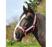Rhinegold Nylon Headcollar - X Full - Rosa