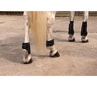 Rhinegold Patent/Crystal Tendon & Fetlock Boot Set-COB-Black Bota, 32 ES, Negro