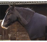 Rhinegold Satin Lycra Stretch Vest-COB-Black Chaleco de Licra, Negro