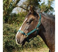 Rhinegold Verde Nylon Headcollar-X Full, Unisex, Extra Grande