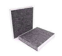 RHINORO Juego de 2 filtros de aire para cabina de polen para BMW 5 6 SERIES F10 F11 F07 F12 F13 F06 / 7 SERIES F01 F02 F03 F04