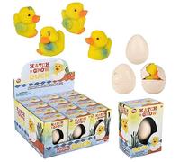 Rhode Island Novelty Huevo de pato pequeño para incubar y cultivar, paquete de 12