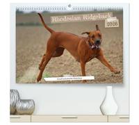 Rhodesian Ridgeback - Ausdrucksstarke Gesichter (hochwertiger Premium Wandkalender 2026 DIN A2 quer), Kunstdruck in Hochglanz: Körpersprache Hund: Die Mimik läßt Bände sprechen