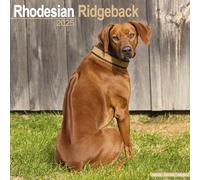 Rhodesian Ridgeback Calendar 2025 Square Dog Breed Wall Calendar - 16 Month