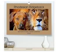 Rhodesian Ridgeback der Hund mit dem Tropfen Löwenblut (hochwertiger Premium Wandkalender 2026 DIN A2 quer), Kunstdruck in Hochglanz: Rhodesian Ridgeback, afrikanischer Löwenhund
