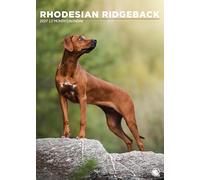 Rhodesian Ridgeback Dog Calendario 2027, A3, a todo color, con espiral (CRU)