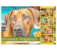 Rhodesian Ridgeback. Kraft und Sanftmut in vollkommener Balance (Tischkalender 2026 DIN A5 quer), CALVENDO Monatskalender: Beeindruckende Hunde mit Charakterstärke und natürlicher Eleganz