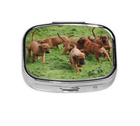 Rhodesian Ridgebacks Perros Cachorros Mascotas Familia, Pastillero cuadrado para bolsillo o monedero, pequeño contenedor de pastillas, organizador de pastillas de viaje