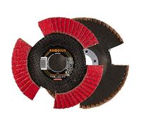 Rhodius Vision Speed - Discos de lija de láminas (115 mm y 125 mm, 10 unidades, grano: P40, diámetro: 115 mm)