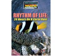 Rhythm Of Life - 24 Hours On A Coral Reef [DVD] [Reino Unido]