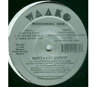 Rhythmic Entity - A Better Day