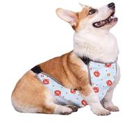 Riaisttd Ropa De Perro,Anti-Suciedad Impermeable Traje para Cachorro De Barriga,Ropa para Mascotas con Estampado De Dibujos Animados | para Caminatas Diarias Senderismo Camping Visita Parque Días