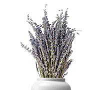 Rianpesn Lavanda Secos - Manojo Lavanda Seca Natural - Ramo Flores Símbolo del Amor Arreglo Flores Bricolaje Ayuda a Dormir Jarrón Pared Mesa Decoraciones para el hogar