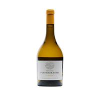 Rías Baixas Gran Vino Pazo Barrantes 2022