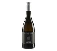 Rías Baixas Sin Palabras P 242 2023