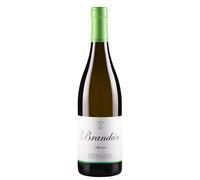 Ribeira Sacra Algueira Brandán 2025