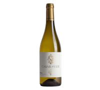 Ribeiro Casar de Vide 2023