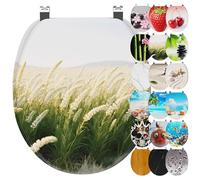 Ribelli Asiento de inodoro con dispositivo de descenso automático, tapa de inodoro en forma de O en muchos diseños, fácil de montar, fácil de limpiar, aprox. 46 x 37 cm (juncos)