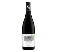 Ribera del Duero Dominio del Soto 2022