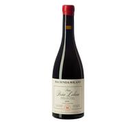 Ribera del Duero Hacienda Solano Finca Peña Lobera 2021