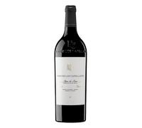Ribera del Duero Pago de los Capellanes Reserva Magnum 2022