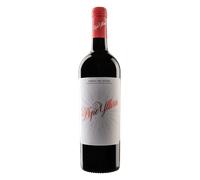 Ribera del Duero Pepe Yllera 2022