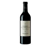 Ribera del Duero Viña Magna 14 Meses 2021 Magnum