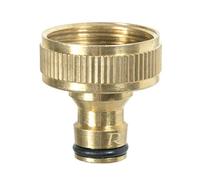 Ribiland Pra/RLB.4206 Toma Grifo, latón, 26 x 34 mm, Dorado, 35 x 35 x 35 cm