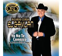 Ricardo Cerda - Yo No Te Conozco Y Muchos Exit