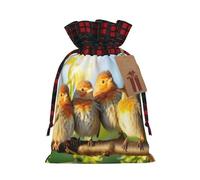 Rich&Rabbit Bolsa de almacenamiento con diseño de pájaros en árbol de abedul, bloqueo de color, con cordón, para vacaciones, fiestas de Navidad