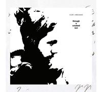 Rich Robinson - Through A Crooked Sun