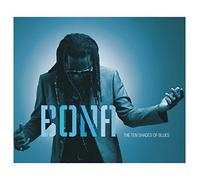 Richard Bona - The Ten Shades Of Blues