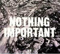 Richard Dawson - Nothing Important