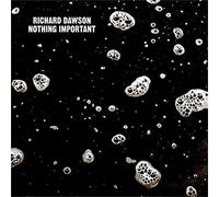 Richard Dawson Nothing Important (Vinyl) 12" Album