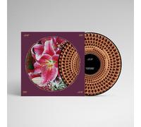 Richard Hawley - Coles Corner (LP Picture Disc) [Vinilo]