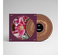 Richard Hawley - Coles Corner (LP Picture Disc) [Vinilo]