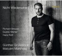 Richard Strauss Günther Groissböck/Malcolm Martineau: Nic (CD) (Importación USA)