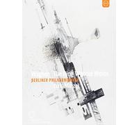 Richard Wagner - The Ring Without Words [Alemania] [DVD]