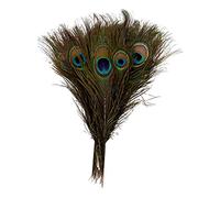 Richeyty Paquete de 50 plumas de naturales, 10-12 ''