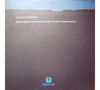 Richie Jones - Not Much Heaven (Heller & Farley Remixes!)