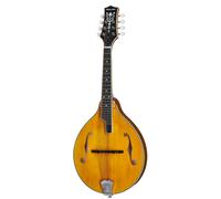Richwood RMA-110-VS A-Style