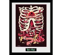 Rick And Morty Anatomy Park Impresión En Cornice 30x40cm GB EYE