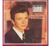Rick Astley - My Arms Keep Missing You