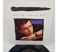RICK ASTLEY, never gonna give you up, B side (instrumental), PB 41447, 7" single