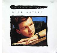 Rick Astley - Never Gonna Give You Up - RCA - PT 41 448, RCA - PT 41448