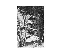 Rick Deitrick - Gentle Wilderness [VINYL] [Vinilo]