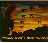 Ricky King - Walk Don't Run Mania