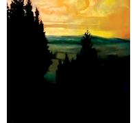 Rico Puestel - Exhibition 2: SOLLING I [Vinilo]